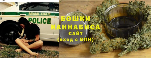 ГАЛЛЮЦИНОГЕННЫЕ ГРИБЫ Арсеньев