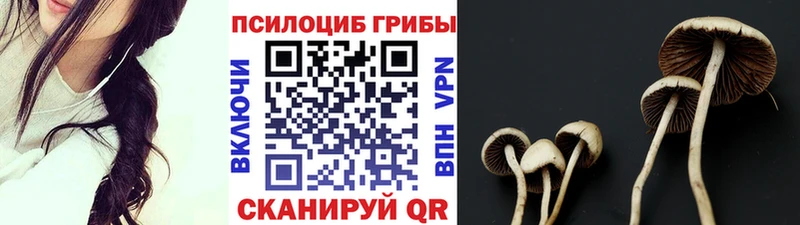 даркнет состав KRAKEN сайт Юрьев-Польский наркошоп Галлюциногенные грибы Magic Shrooms